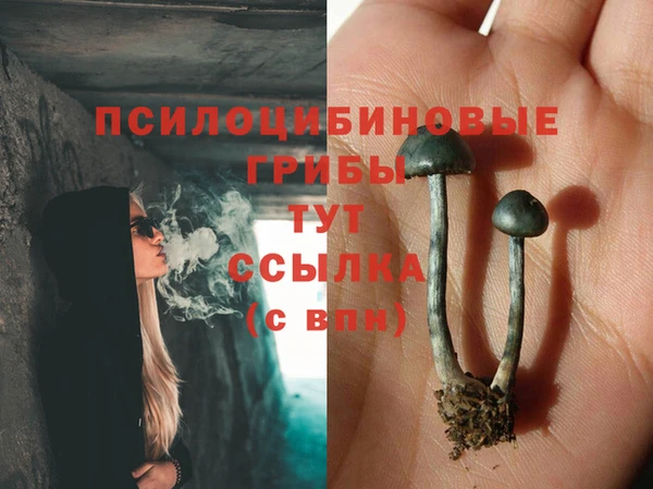 экстази Абаза