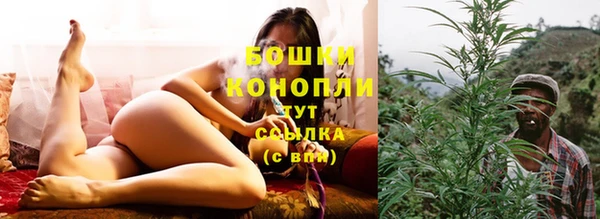 PSILOCYBIN Алексин